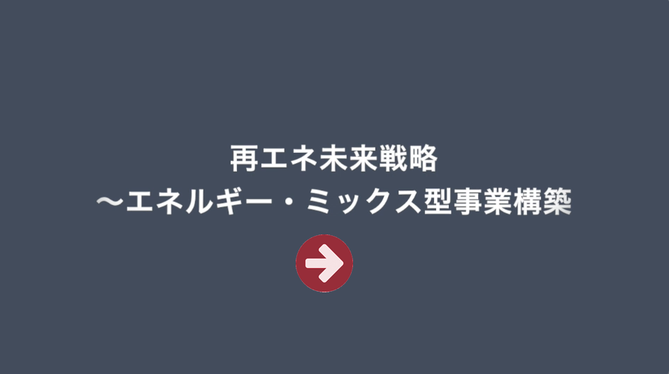 再エネ未来戦略〜エネルギー・ミックス型事業構築〜